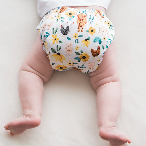 SECOND HAND | Cloth Bums Pixie + All in Two Pocket Nappy COVER ONLY